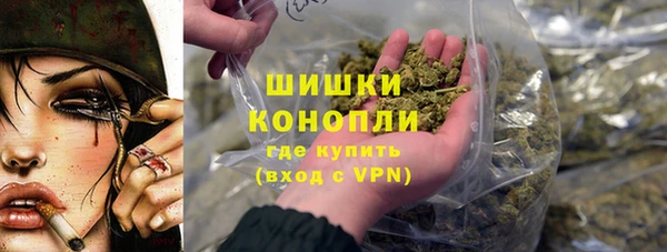 эйфоретик Богданович