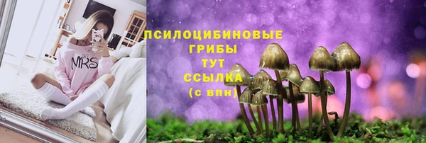 гашишное масло Богородск
