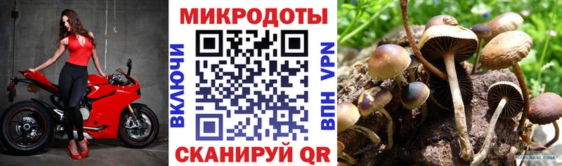 Галлюциногенные грибы GOLDEN TEACHER  Казань 