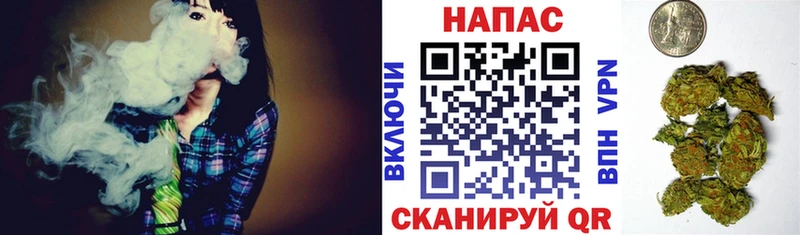 где найти наркотики  Казань  Канабис MAZAR 